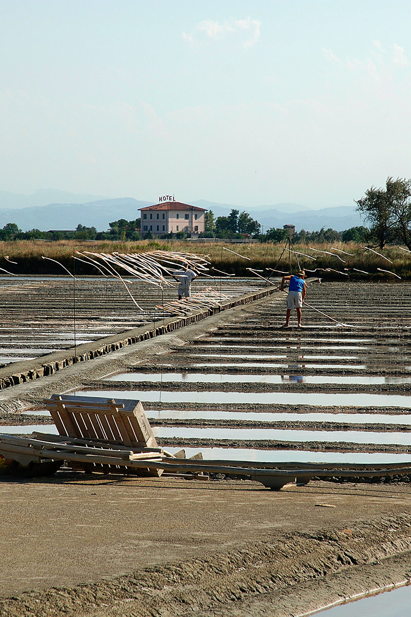 Hotel Maggiorina Cervia