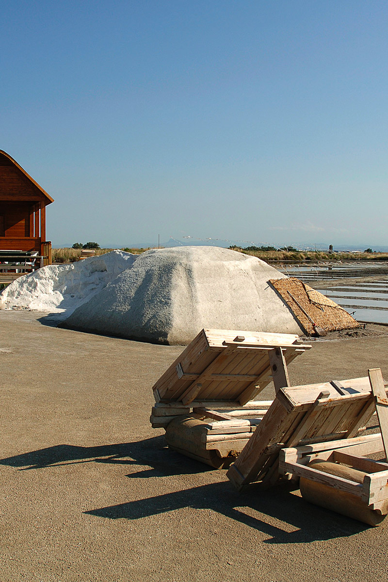 Hotel Maggiorina Cervia